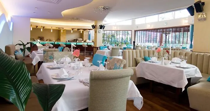 アルバ アンカラ